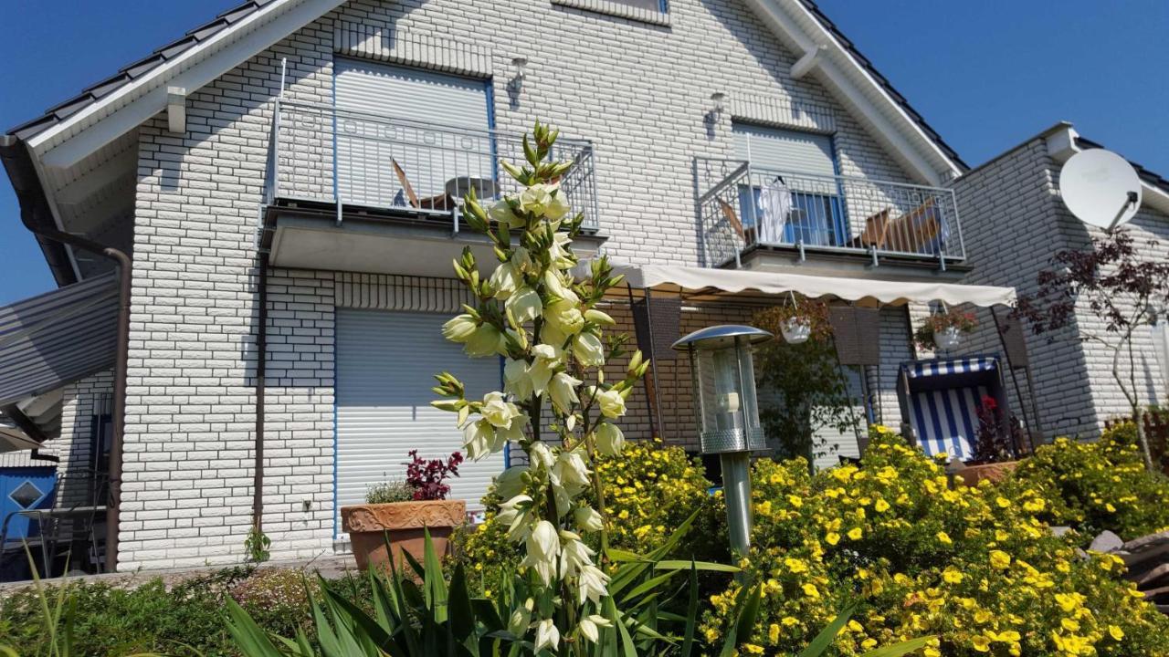 Appartements Villa Drachenberg 萨斯尼茨 外观 照片