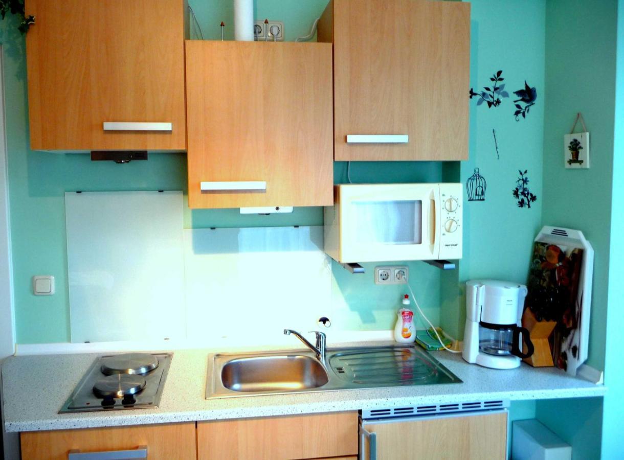 Appartements Villa Drachenberg 萨斯尼茨 外观 照片