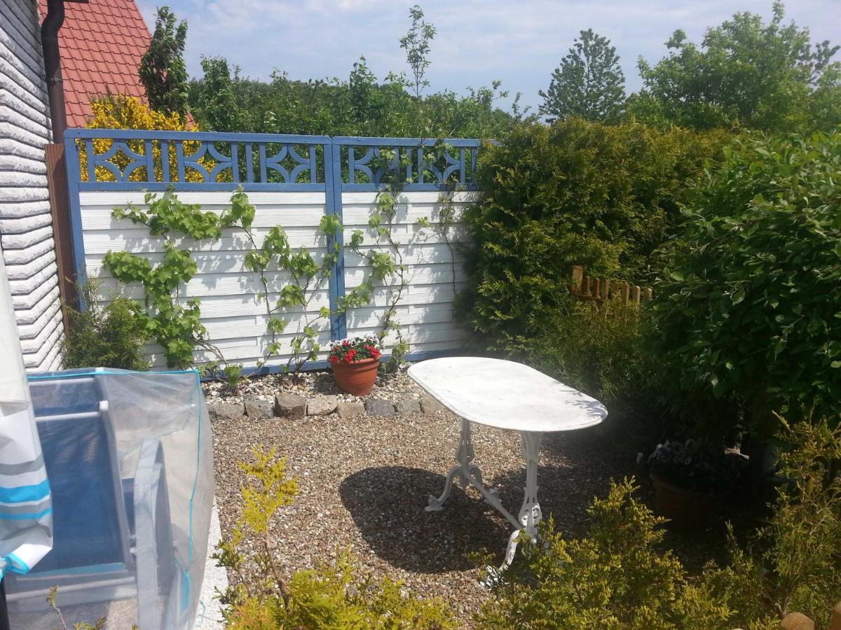 Appartements Villa Drachenberg 萨斯尼茨 外观 照片